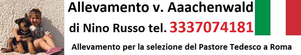 Allevamento per la Selezione del Pastore Tedesco v. Aachenwald Roma